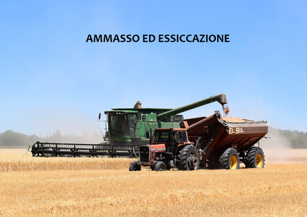 ammasso.png