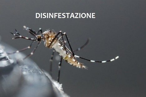 disinfestazione-zanzare.jpg